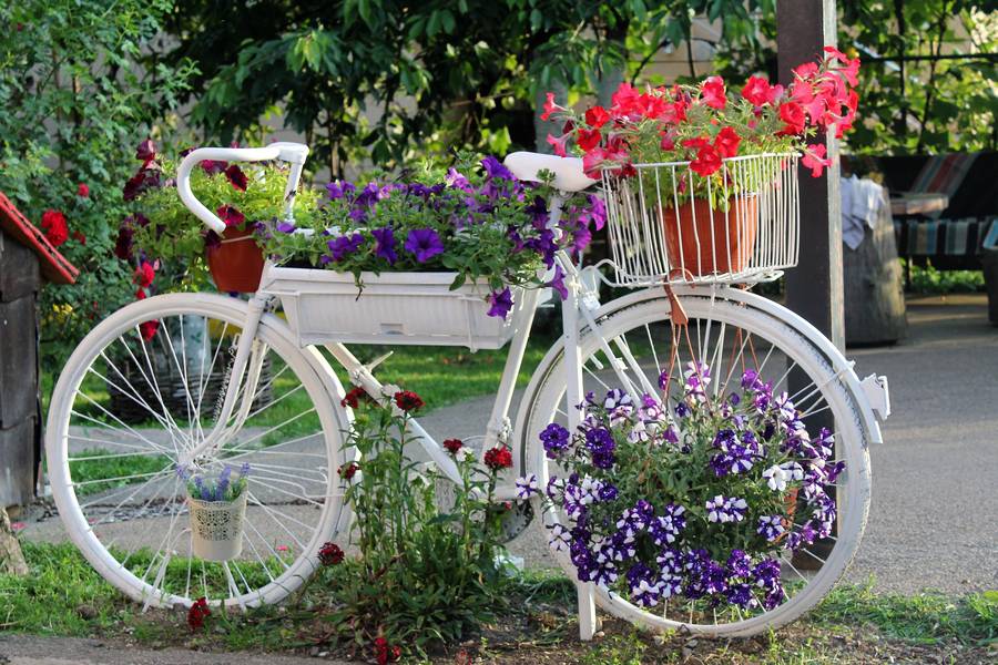  Фото архива