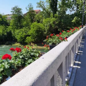 Градски мост украшен цвијећем Градски мост украшен цвијећем