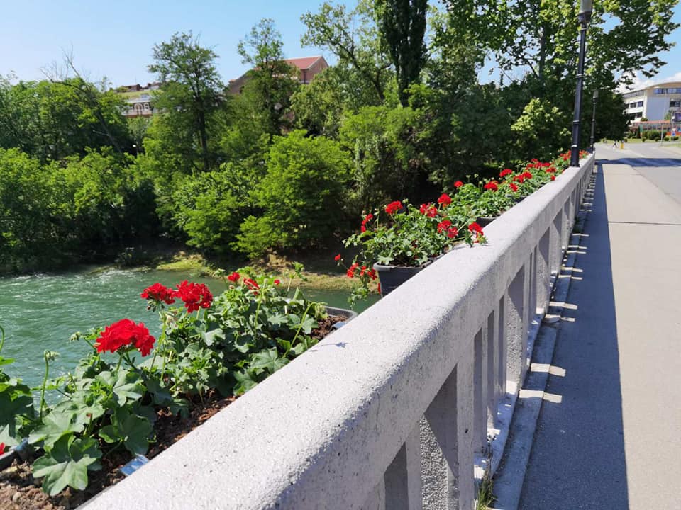  Фото: Ротари клуб Глориа