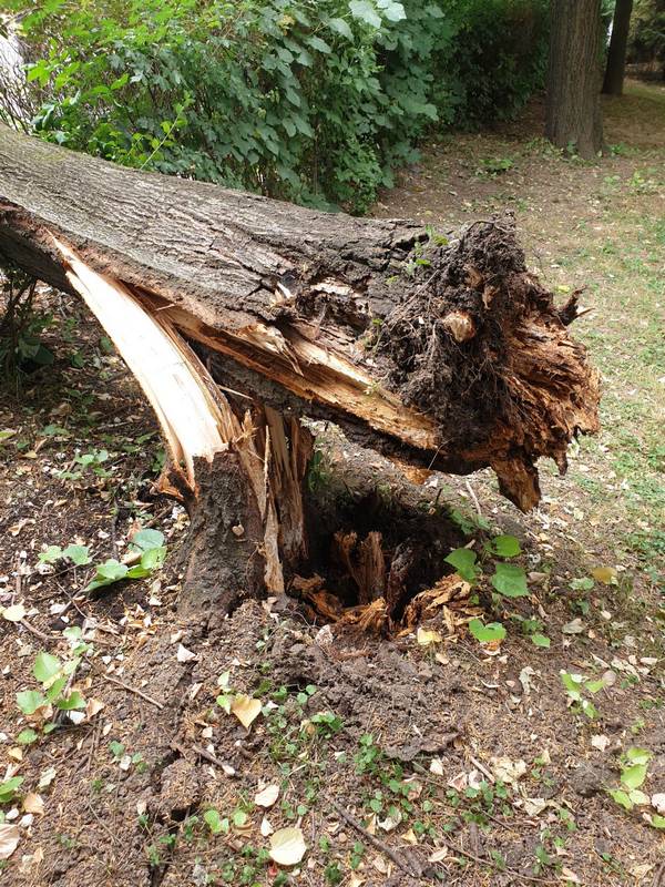  Фото: Град Бања Лука