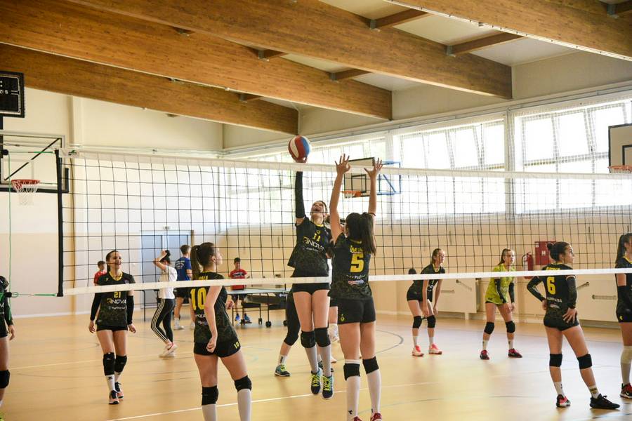  Фото: А. Чавић