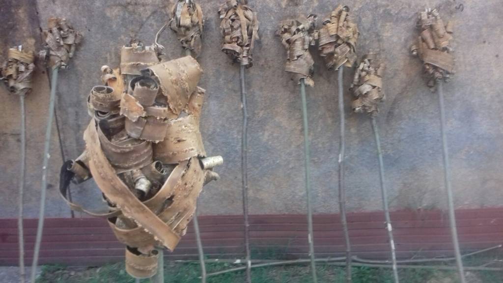  Фото илустрација