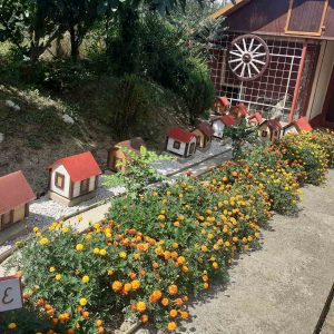 „Biramo najuređenije“ : Pri kraju obilazak prijavljenih kandidata