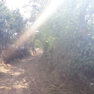 Mišin Han: U toku lokalizacija požara