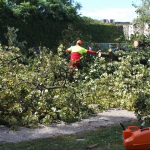Због олујног невремена прекиди у снабдијевању електричном енергијом Због олујног невремена прекиди у снабдијевању електричном енергијом