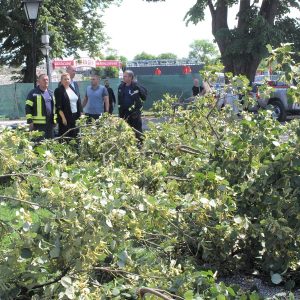 Представници Града на терену: Надлежне екипе отклањају посљедице невремена