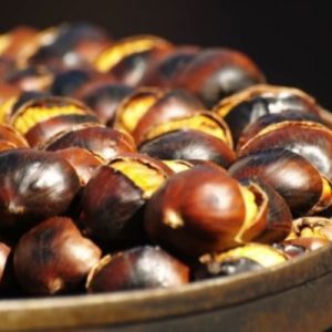 Јавни оглас за додјелу локација за продају кестена Јавни оглас за додјелу локација за продају кестена