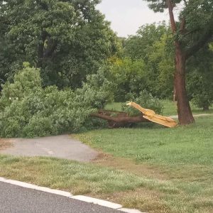 Надлежне службе на терену због олујног невремена