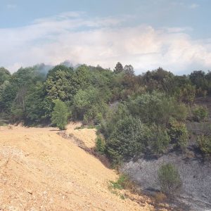 Mišin Han: Vatrogasci još na terenu, stanje zadovoljavajuće