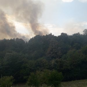 Ватрогасцима пуне руке посла: Поново избио пожар у Мишином Хану Ватрогасцима пуне руке посла: Поново избио пожар у Мишином Хану