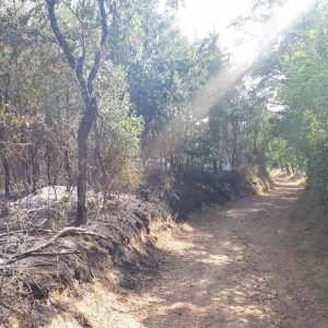 Ugašen požar u Mišinom Hanu