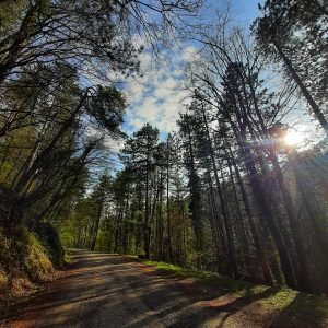 Tangram projekat: Potrebno osigurati zaštitu područja Banj brda kao turističkog proizvoda