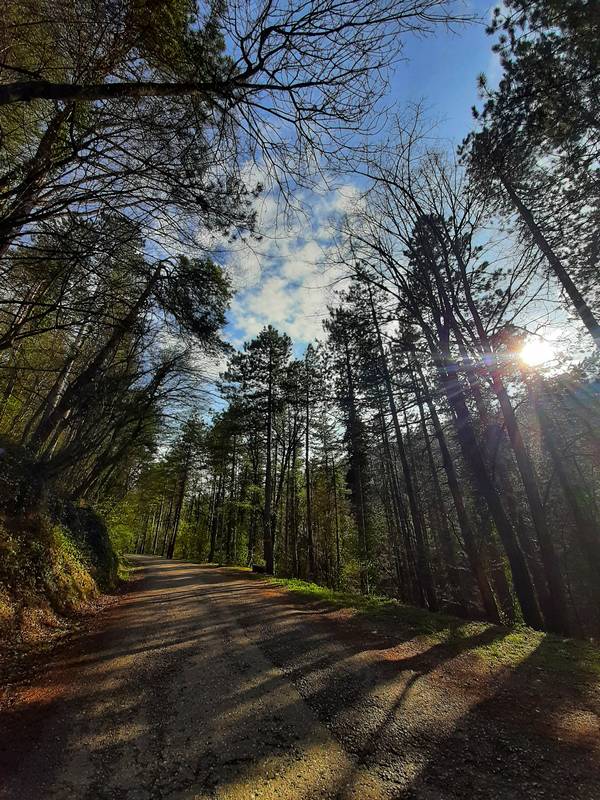  Фото: Град Бања Лука