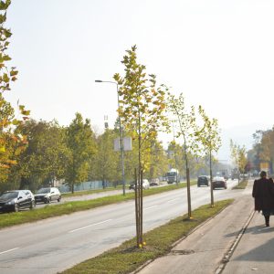 Како можете бити дио јесење садње у Бањој Луци? Како можете бити дио јесење садње у Бањој Луци?