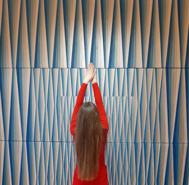  Фото: Бански двор