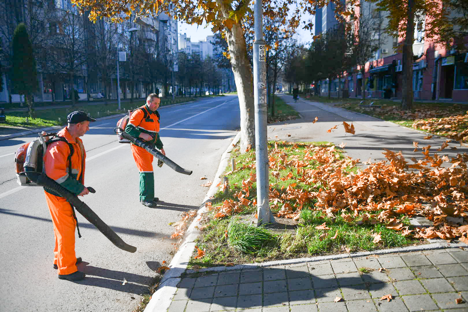  Фото: А. Чавић