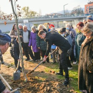Настављена јесења садња: Засађена алеја посвећена пензионерима Настављена јесења садња: Засађена алеја посвећена пензионерима