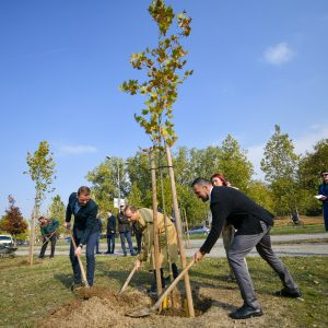 За викенд акција садње: Велико интересовање за донирање садница За викенд акција садње: Велико интересовање за донирање садница