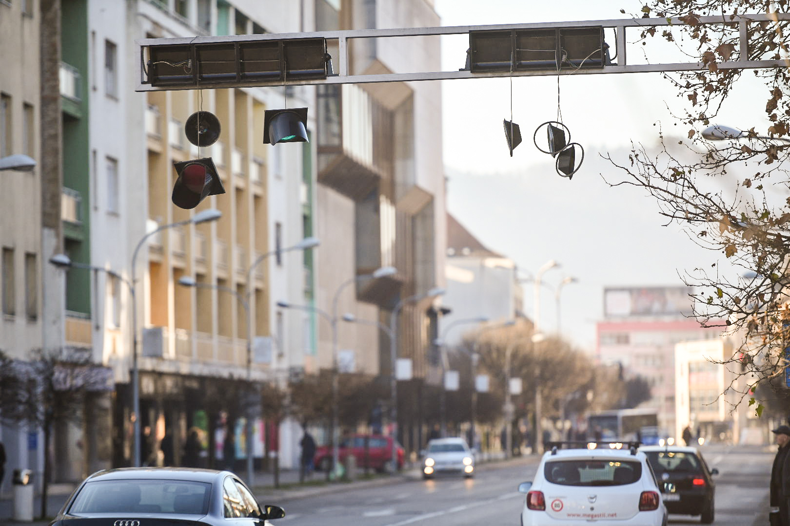  Фото: А. Чавић