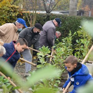 Зеленило умјесто депоније: Засађене нове саднице у Лазареву