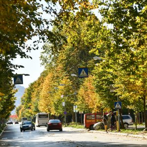 Привредници и грађани прискочили у помоћ: Донацијама подржани бројни пројекти Привредници и грађани прискочили у помоћ: Донацијама подржани бројни пројекти