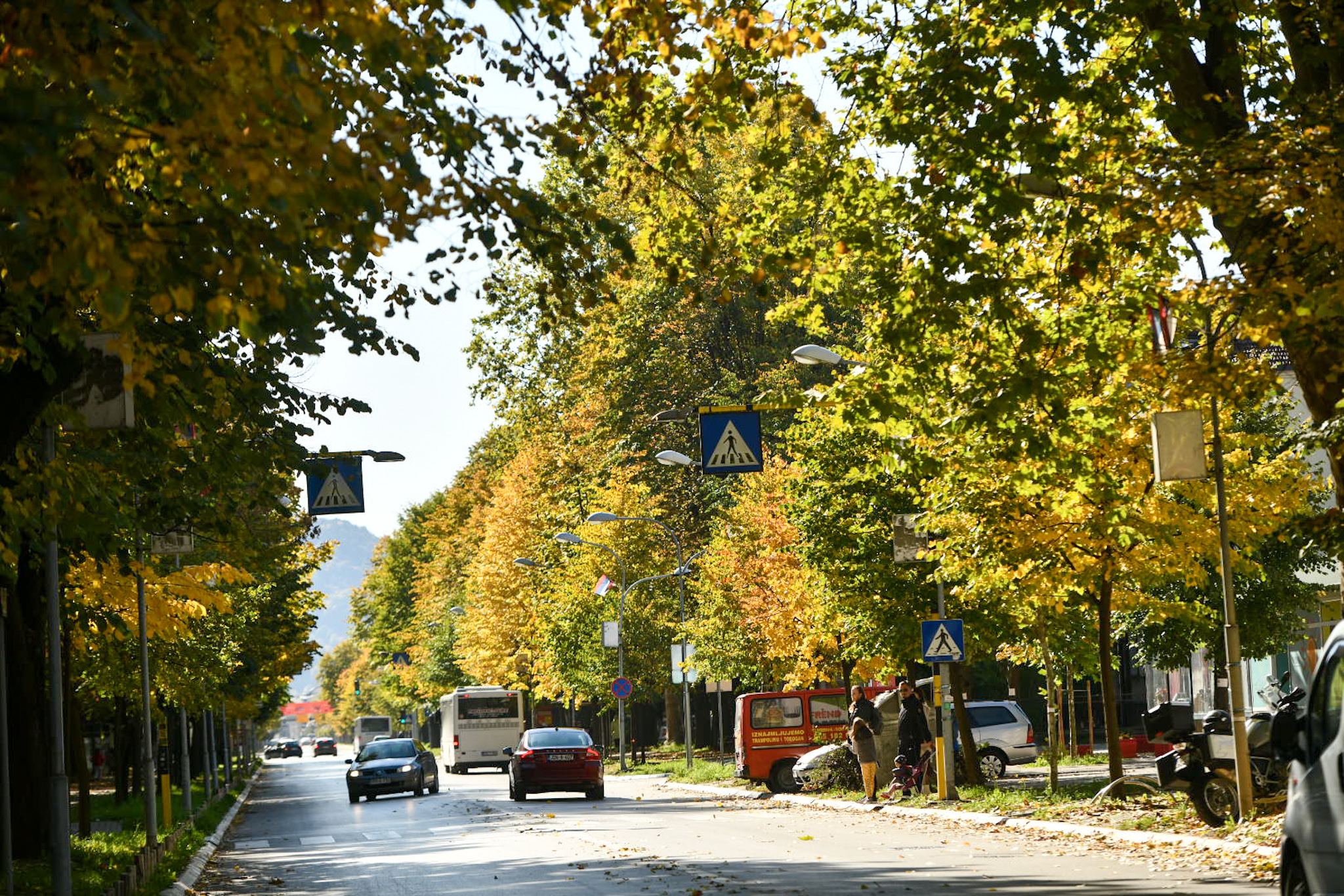  Фото: А. Чавић