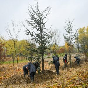 Бања Лука ипак добија нови парк: Комисија из другог пута прихватила израду регулационог плана