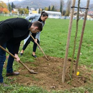 Градоначелникови сарадници засадили нове саднице у Улици Ђуре Ђаковића