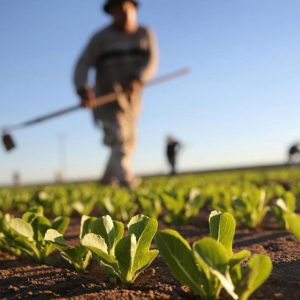 Позив за евидентирање пољопривредних газдинстава и ажурирање података