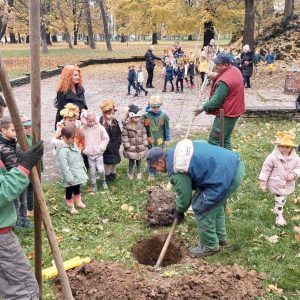 Настављена садња: Нове саднице у дрворедима и у Парку „Младен Стојановић“