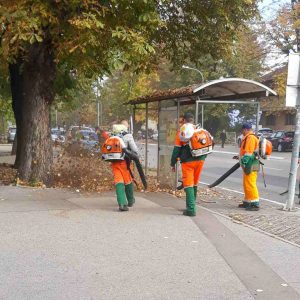 У току сакупљање лишћа са јавних површина У току сакупљање лишћа са јавних површина