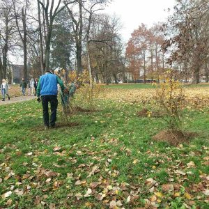 Засађене нове саднице: Донације ЛИР револуције и Фондације „За породицу“ Засађене нове саднице: Донације ЛИР револуције и Фондације „За породицу“