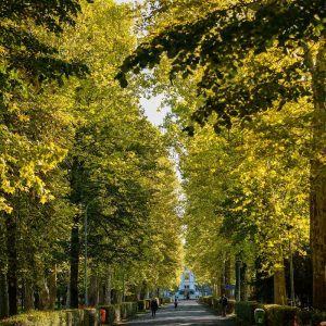 Градске стипендије за 350 студената: Погледајте ранг листу по успјеху