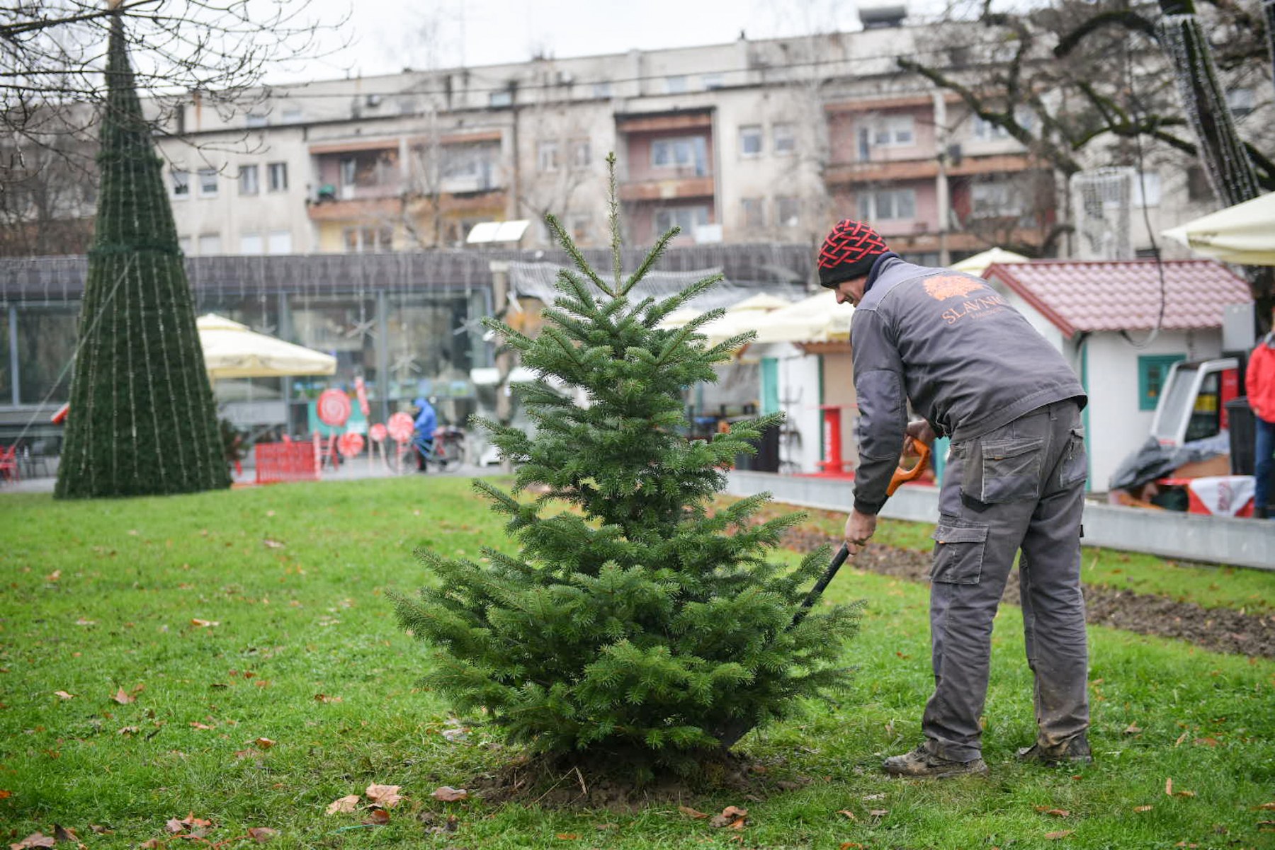  Фото: А.Чавић