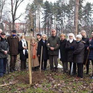 U Parku „Mladen Stojanović“ simbolično zasađena topola