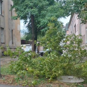 Почела исплата подршке за санирање штета од олујног невремена Почела исплата подршке за санирање штета од олујног невремена