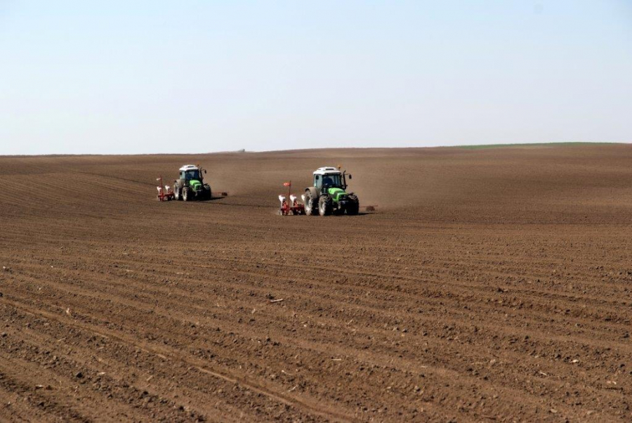  Фото илустрација 