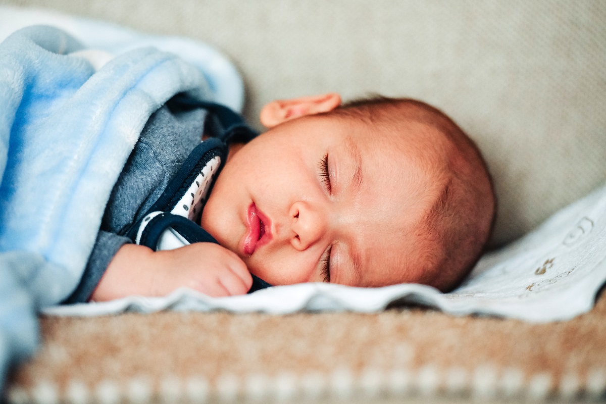  Фото: А. Чавић