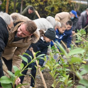 Istorijska sadnja: Grad bogatiji za oko 2.000 novih sadnica