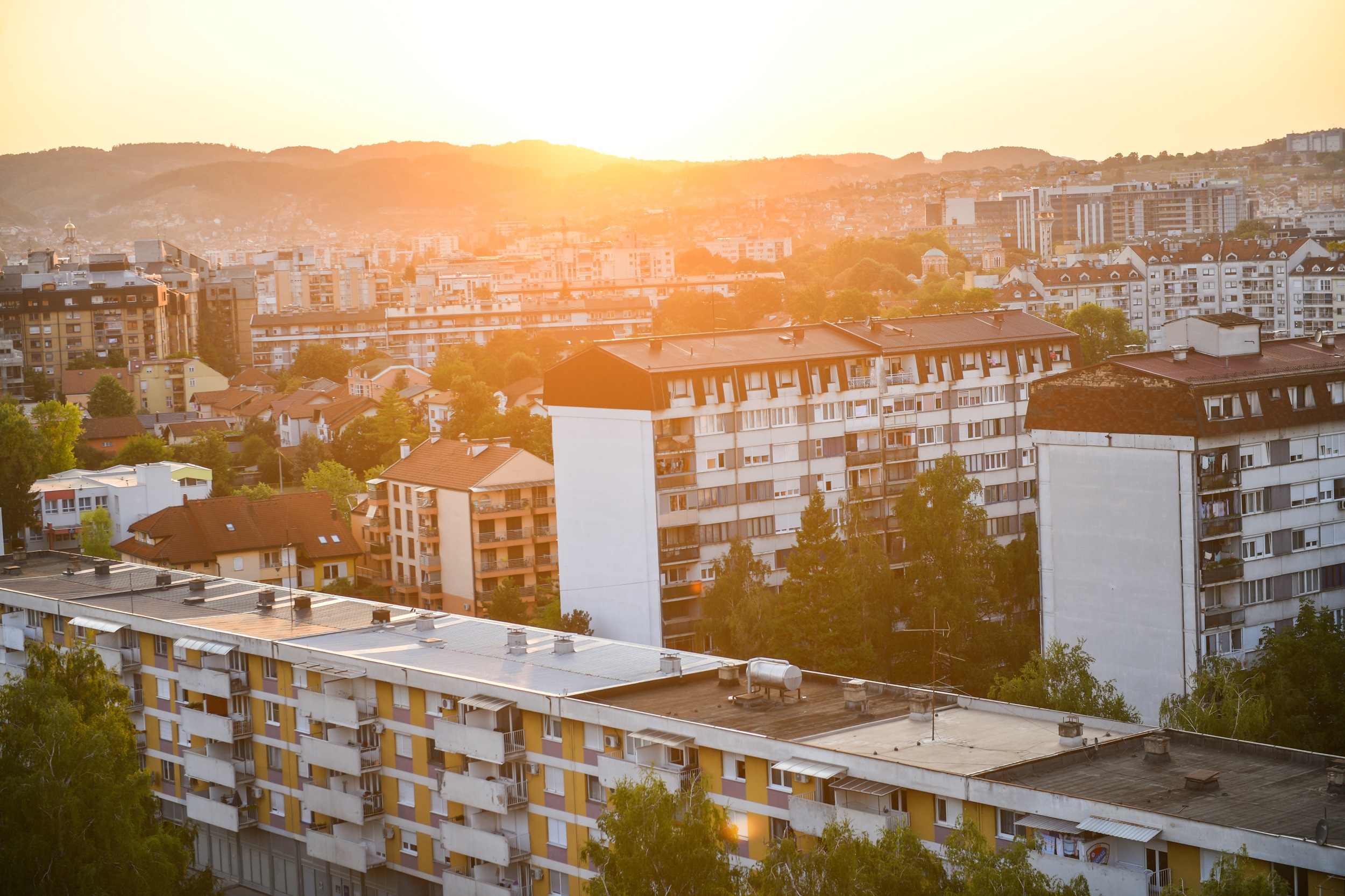  Фото: А. Чавић