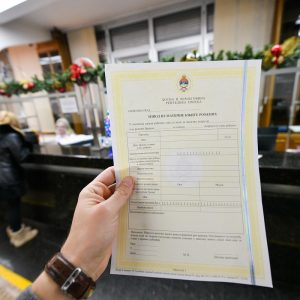 Родни лист – све што вас занима Родни лист – све што вас занима