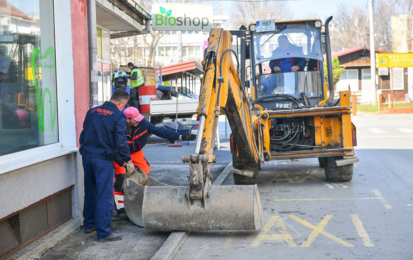 Фото: А. Чавић