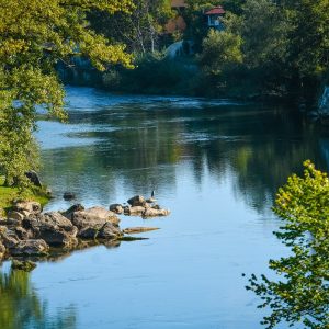 Истресали грађевински отпад на обале Врбаса: „Нискоградња“ новчано кажњена, наложено уређење