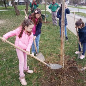 У Обилићеву засађена алеја посвећена вишечланим породицама У Обилићеву засађена алеја посвећена вишечланим породицама