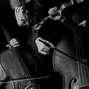 Kонцерт камерног гудачког оркестра „Бан Светислав Тиса Милосављевић“ у Банском двору