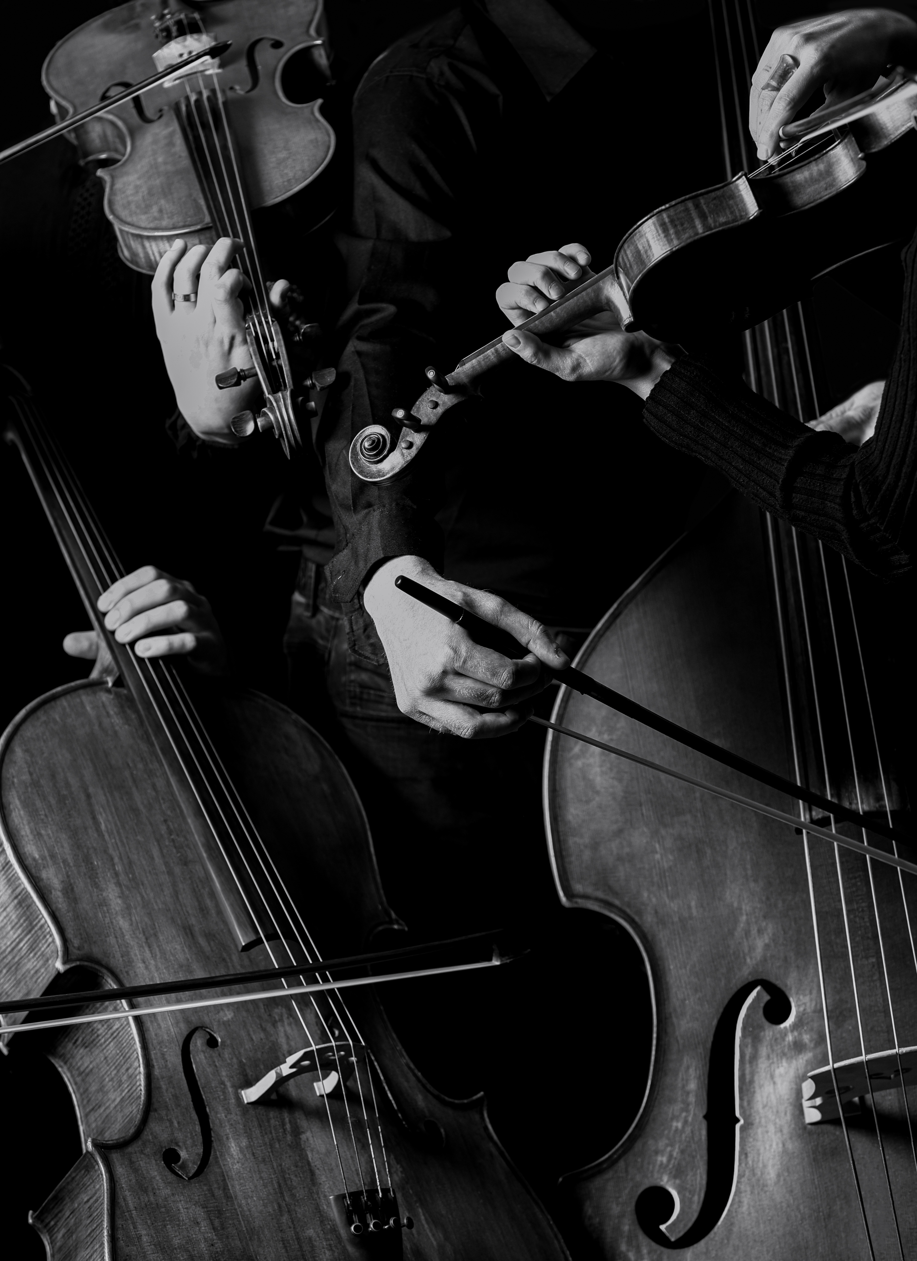  Фото илустрација Бански двор