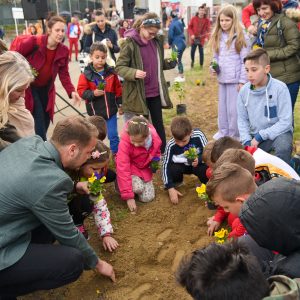 Уређење града се наставља: Обилићево уљепшано шареним цвијећем и мноштвом нових садница Уређење града се наставља: Обилићево уљепшано шареним цвијећем и мноштвом нових садница
