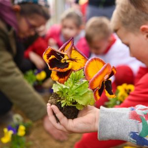 У петак централна акција: Дођите да заједно уредимо Лазарево