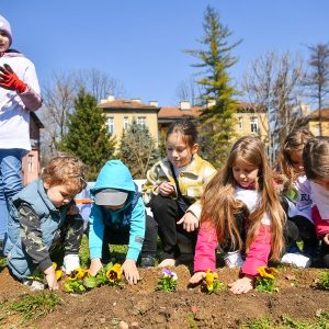 Придружите се: У суботу уређујемо Борик 1 и Борик 2