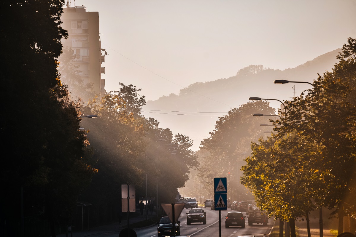 Фото: А. Чавић